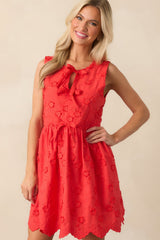 Thinking About It Red Floral Embroidered Cotton Mini Dress