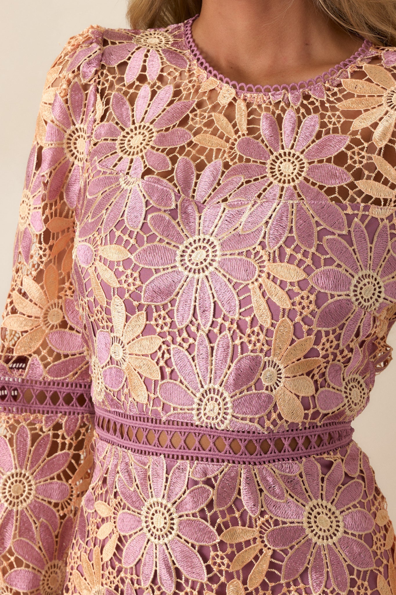 Let's Go Places Mauve Floral Embroidered Mini Dress